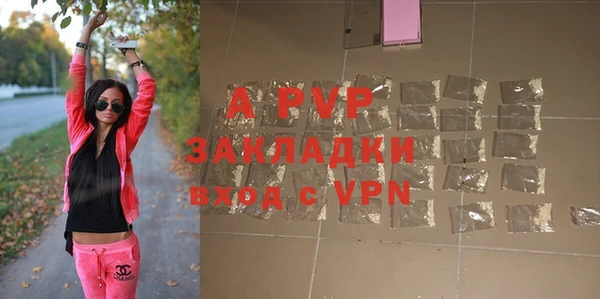 гашик Новодвинск