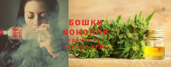 гашик Новодвинск