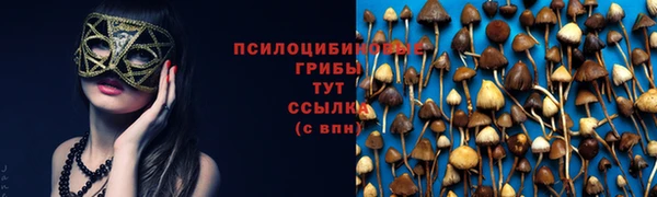 дистиллят марихуана Новозыбков