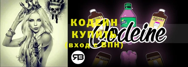 гашик Новодвинск