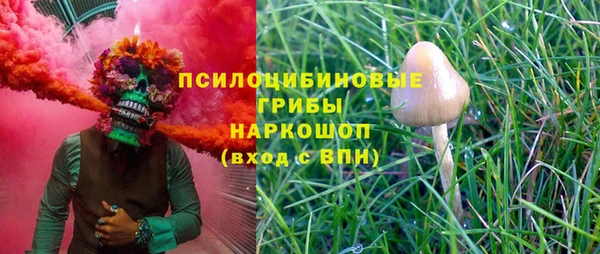 гашик Новодвинск