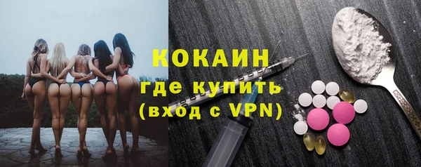 гашик Новодвинск