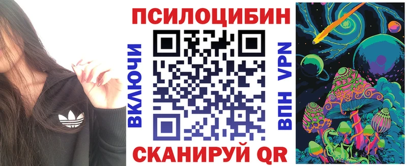 купить наркотики цена  Рыбинск  Псилоцибиновые грибы GOLDEN TEACHER 