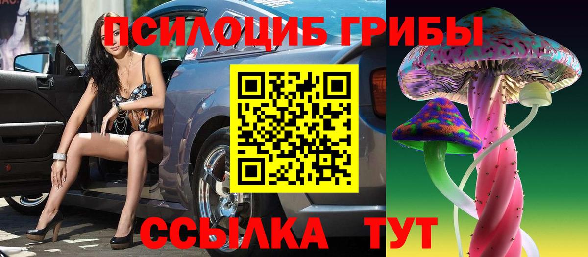 Псилоцибиновые грибы Cubensis Рыбинск