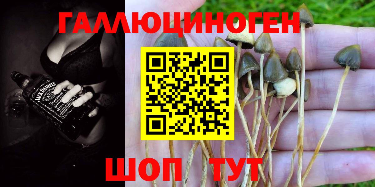 Галлюциногенные грибы Magic Shrooms  Галлюциногенные грибы прущие грибы  Рыбинск  Вход с VPN 